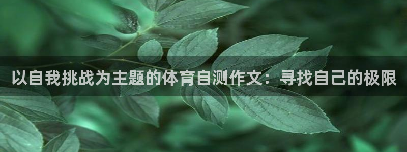 熊猫体育手机版下载