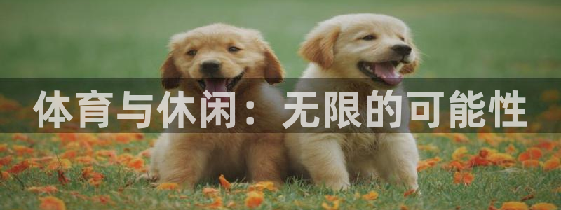 熊猫体育怎么样