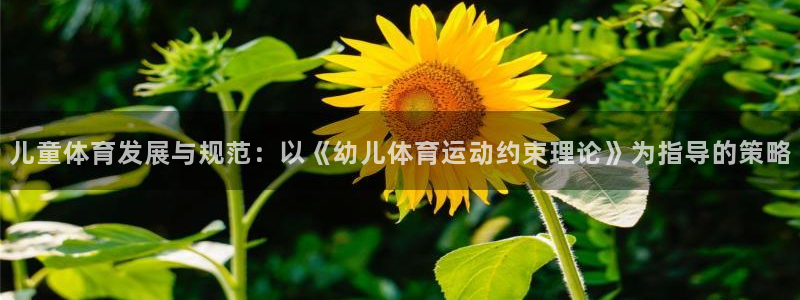 动感熊猫体育公园