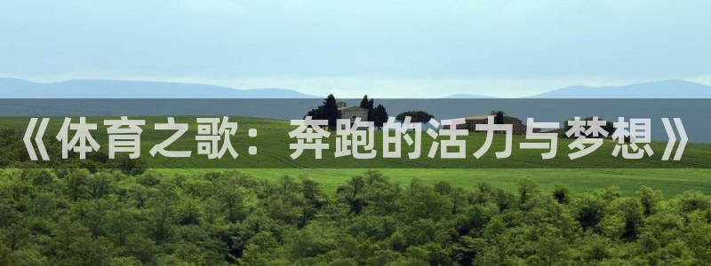熊猫体育app官方入口