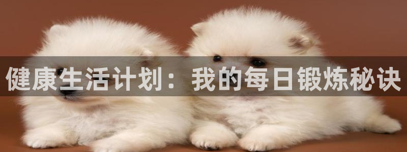 熊猫体育直播nba