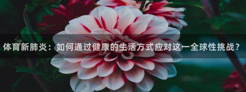 熊猫体育官网首页入口