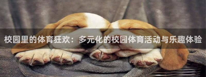 熊猫体育直播