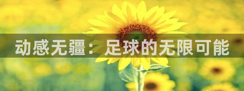 熊猫体育