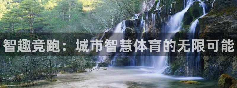 成都熊猫体育公园