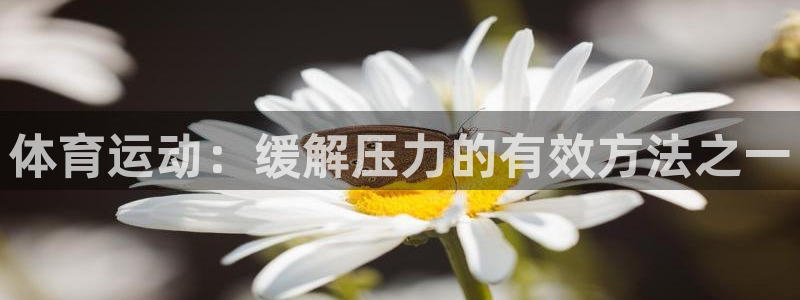 熊猫体育app官方下载最新版