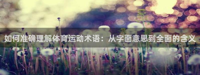 熊猫体育公园价格