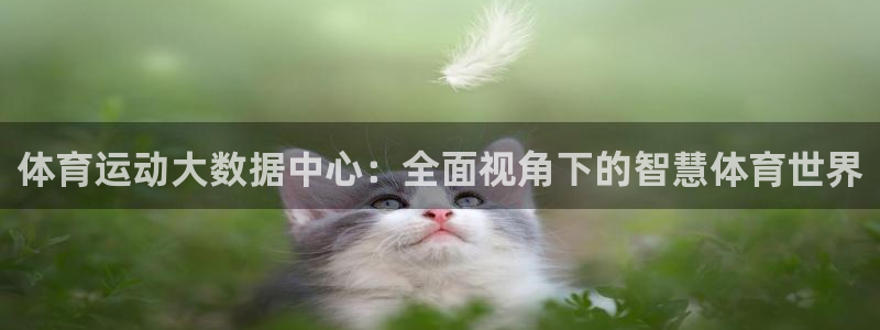 熊猫体育手机版