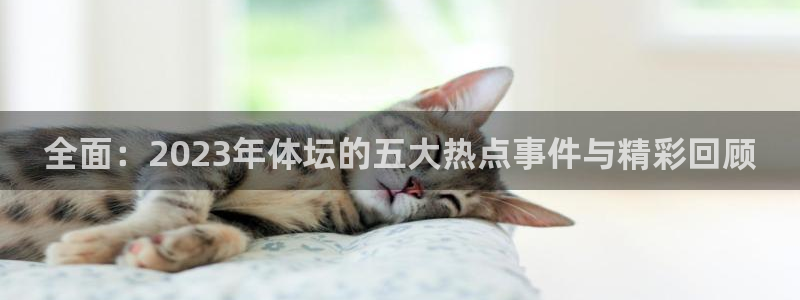 熊猫体育网站